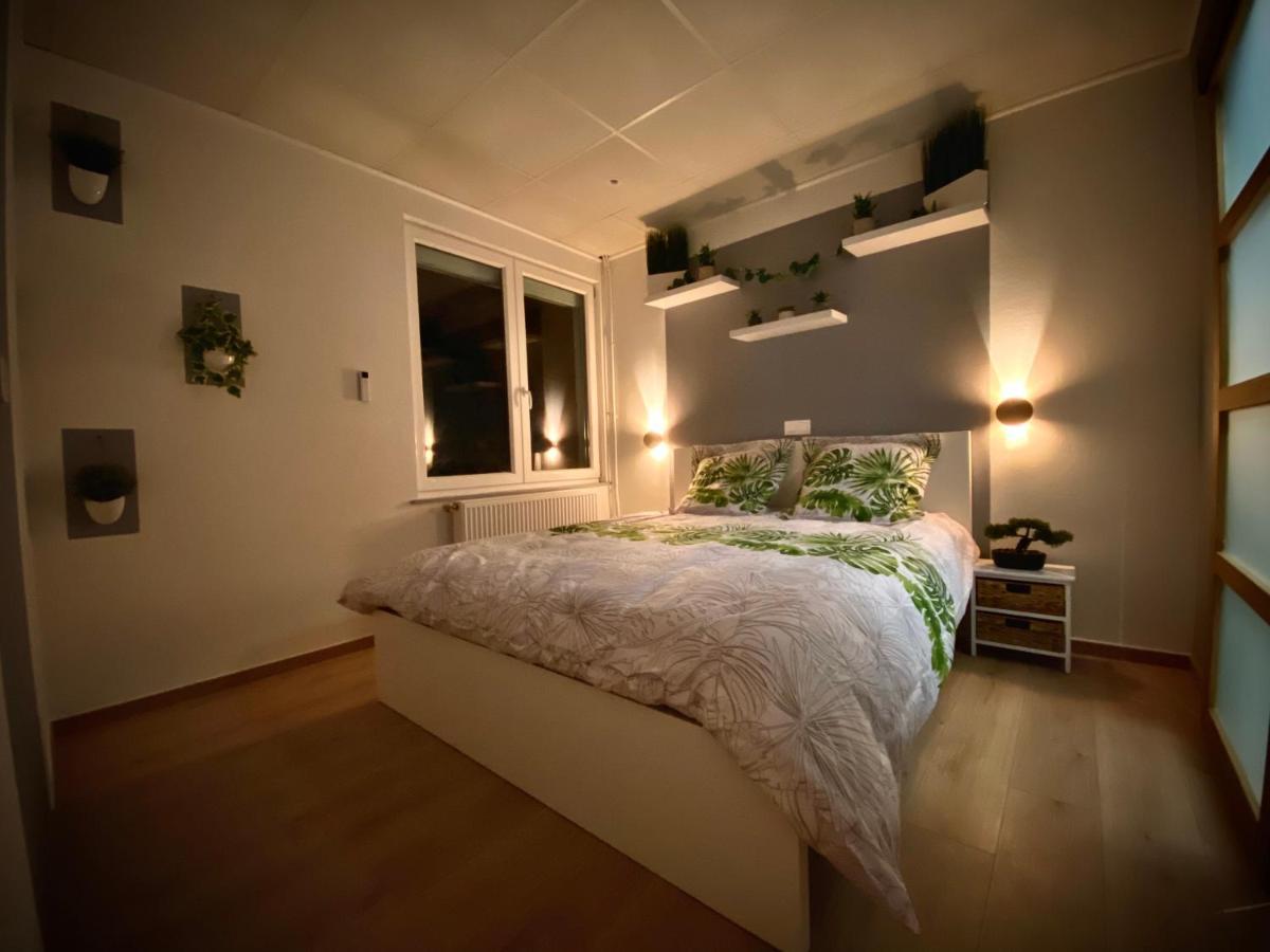 Logements Equipes A Onnaing Avec Espace Balneo En Option Proche Toyota, Autoroute Et Valenciennes מראה חיצוני תמונה